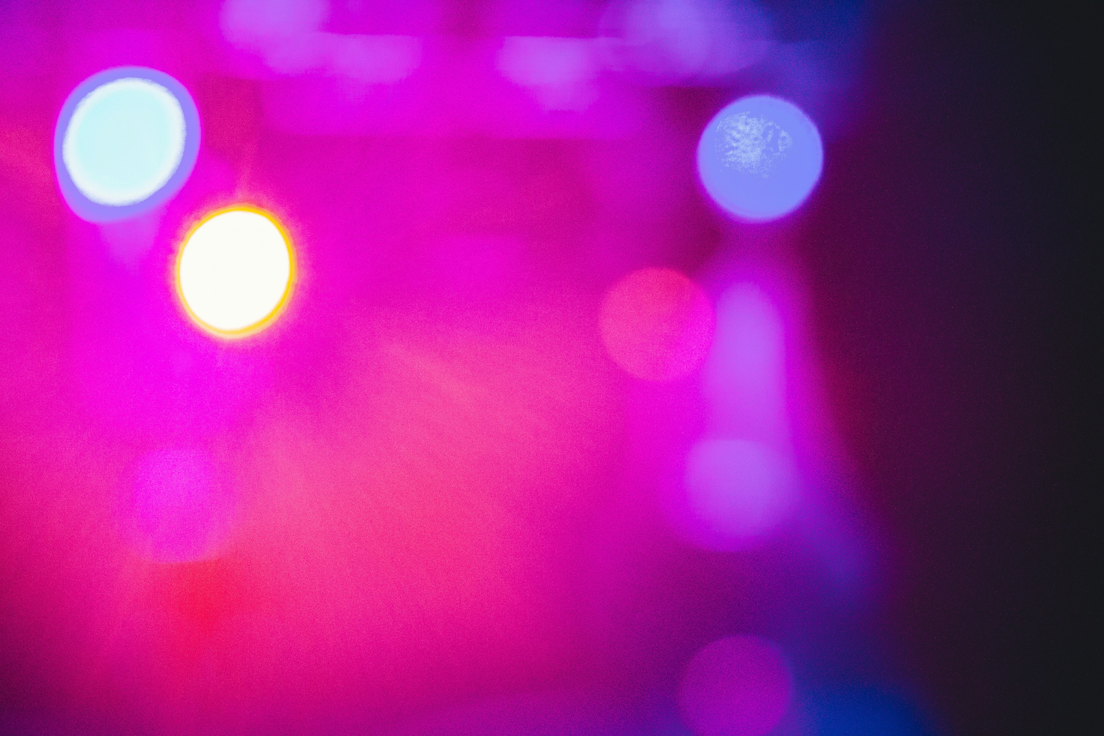 Digital Branding Services LP