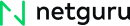 netguru-logo 1